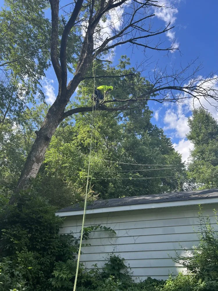 Expert outdoor landscaping for outdoor upgrades in Milwaukee, WI by Chris Tree service