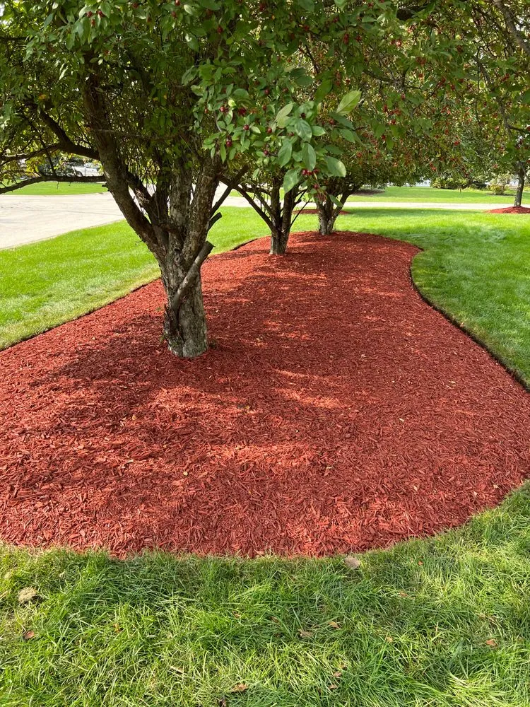 Professional lawn mowing service for outdoor upgrades in Milwaukee, WI by Chris Tree service