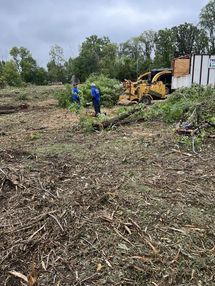 Professional landscape installation experts serving Milwaukee, WI - Chris Tree service