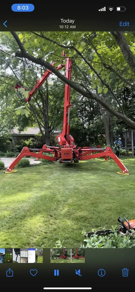 Professional lawn care service in Milwaukee, WI by Chris Tree service