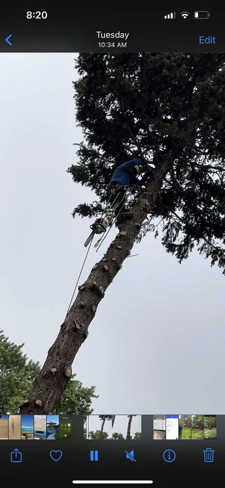 Reliable residential landscaping in Milwaukee, WI by Chris Tree service