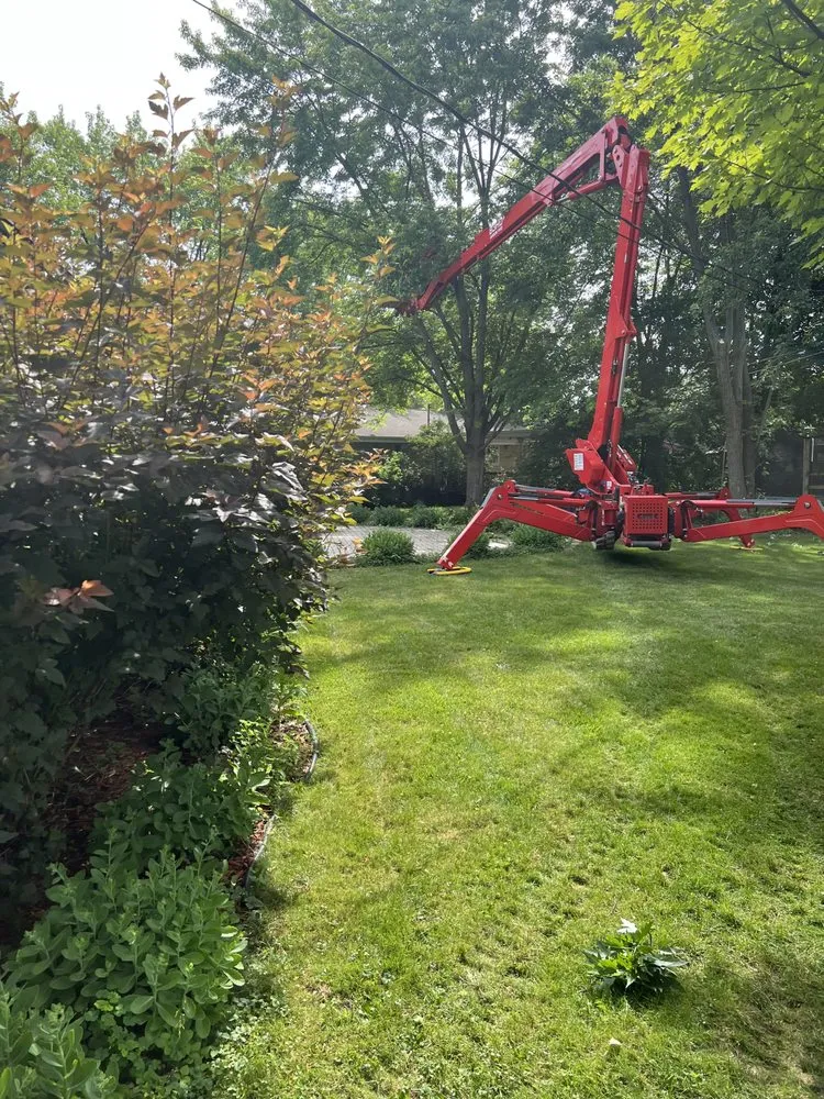 Professional yard maintenance in Milwaukee, WI by Chris Tree service