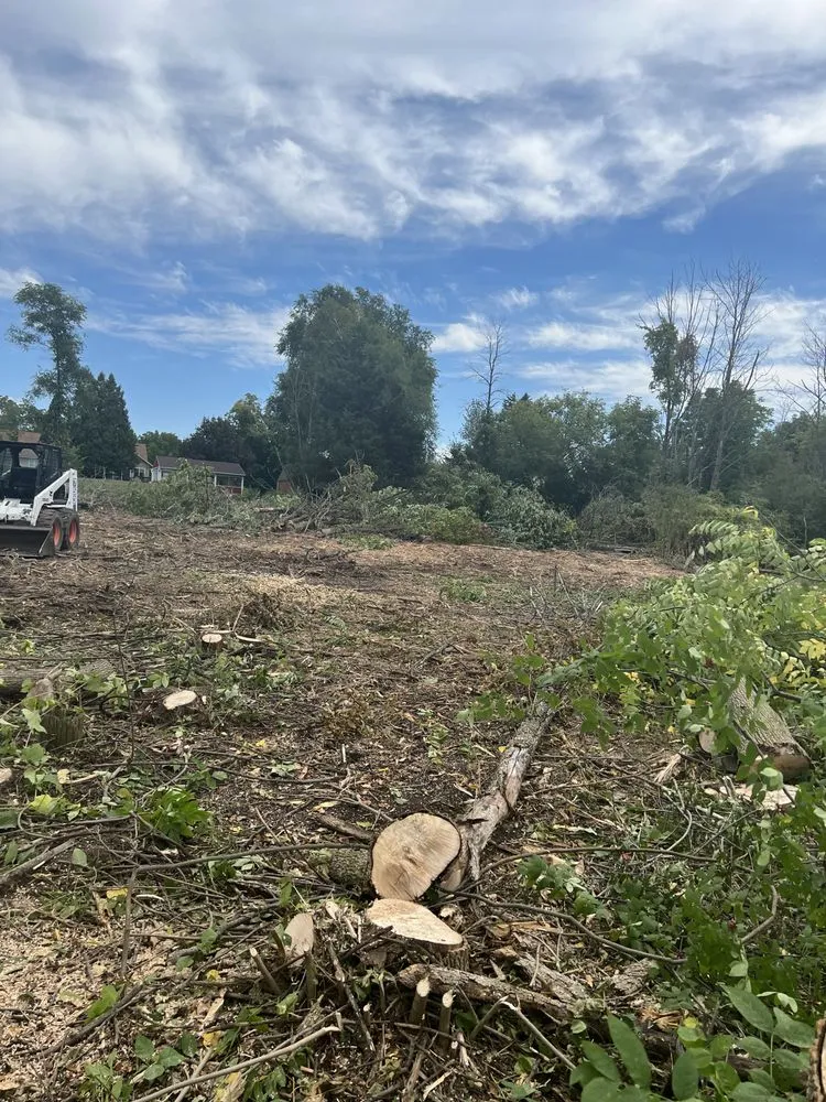 Affordable landscaping services in Milwaukee, WI by Chris Tree service