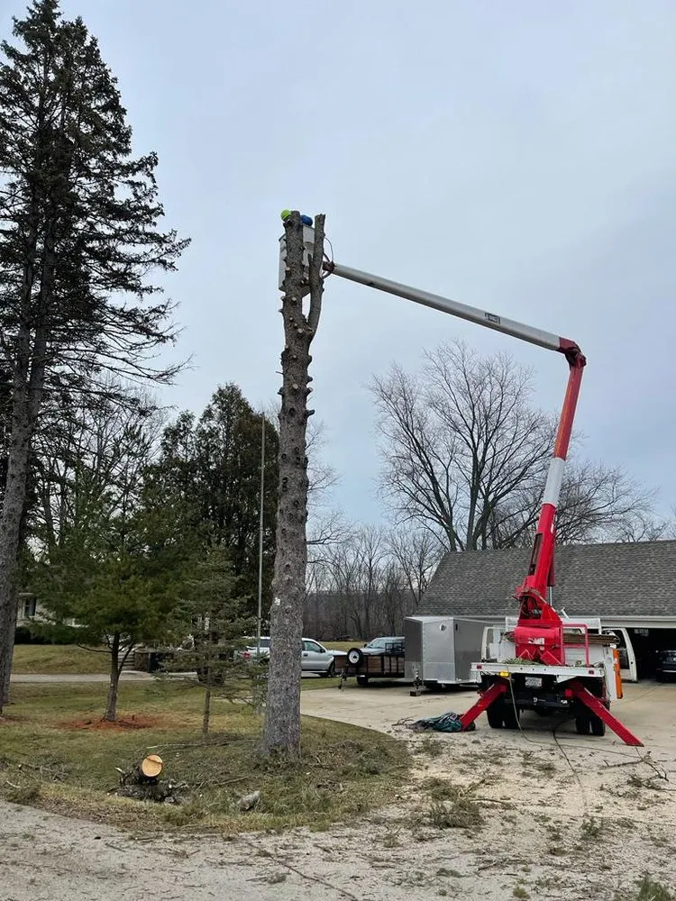 Trusted landscape design in Milwaukee, WI - Chris Tree service