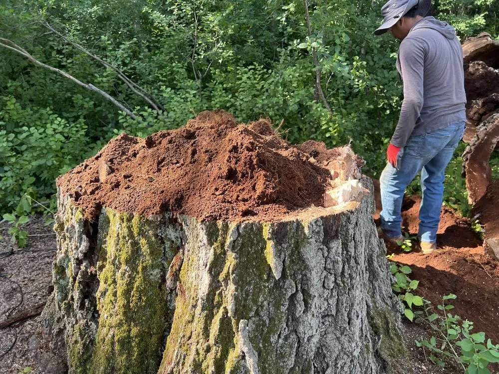 Local landscaping services experts serving Milwaukee, WI - Chris Tree service