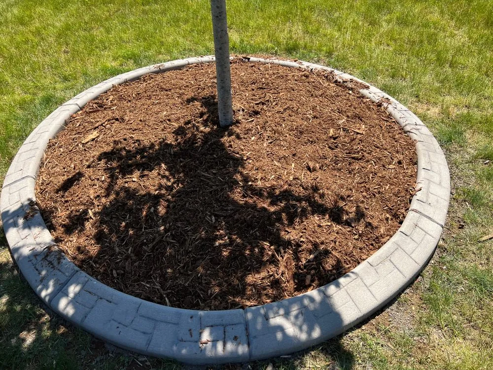 Affordable yard maintenance for homes in Milwaukee, WI by Chris Tree service