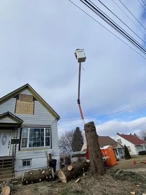 Chris Tree service Logo