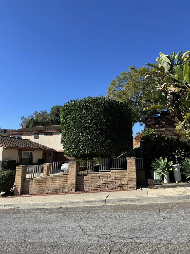 Professional lawn mowing service with custom design in San Diego, CA by Chris Tree Services