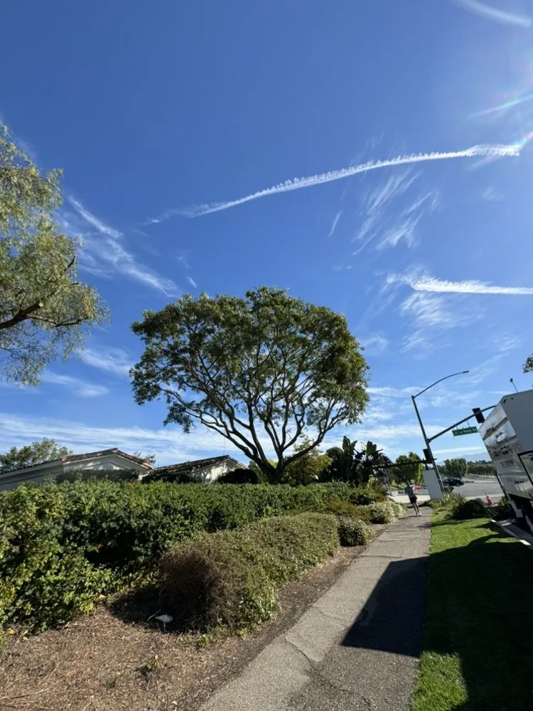 Top-rated landscape design for year-round maintenance across San Diego, CA - Chris Tree Services