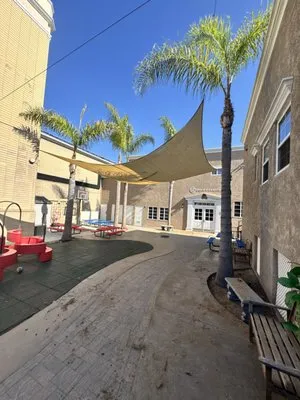 Chris Tree Services Logo