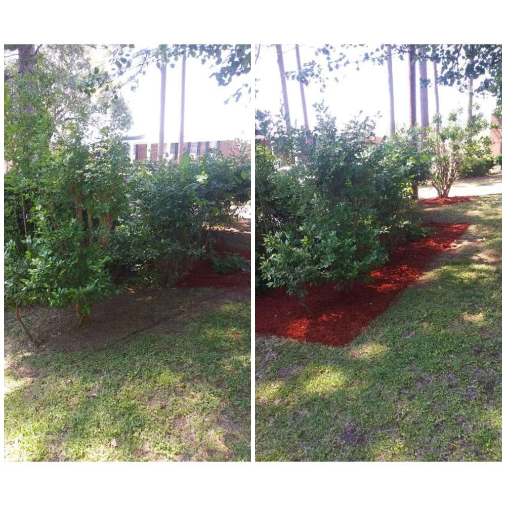 Expert landscape design for homes in Augusta, GA by Chris Unique Cuts