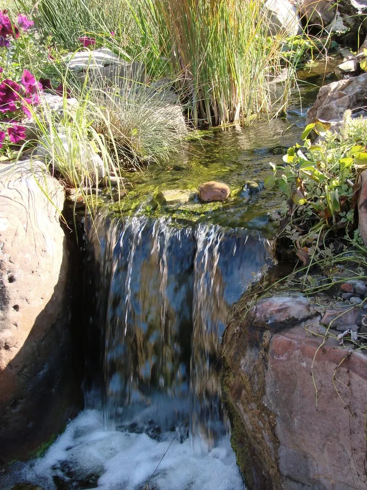 Local landscaping services near you across Homer, IL - Chris' Water Gardens