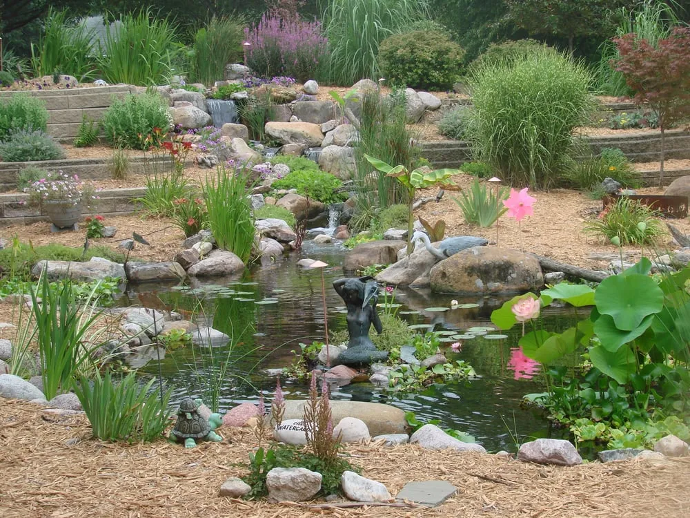 Affordable lawn care service for year-round maintenance across Homer, IL - Chris' Water Gardens