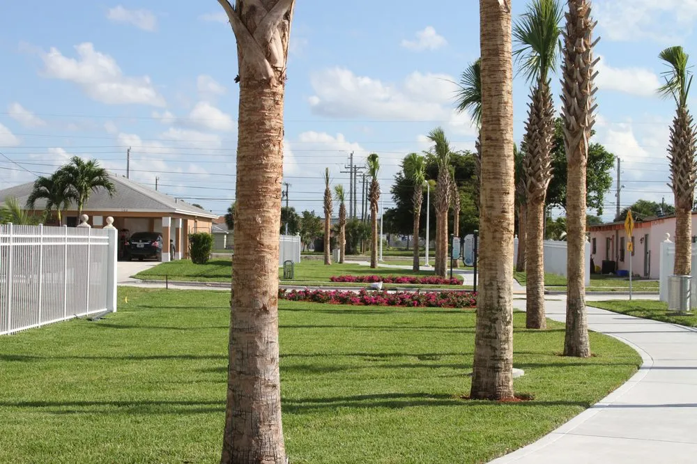 Top-rated landscaping services for residential properties across Jupiter, FL - Chris Wayne & Associates