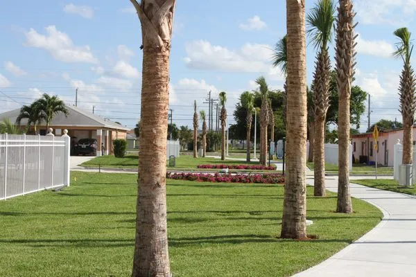 Chris Wayne & Associates Logo