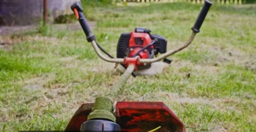 Affordable outdoor landscaping in Aiken, SC by Chris Weedeating  Service