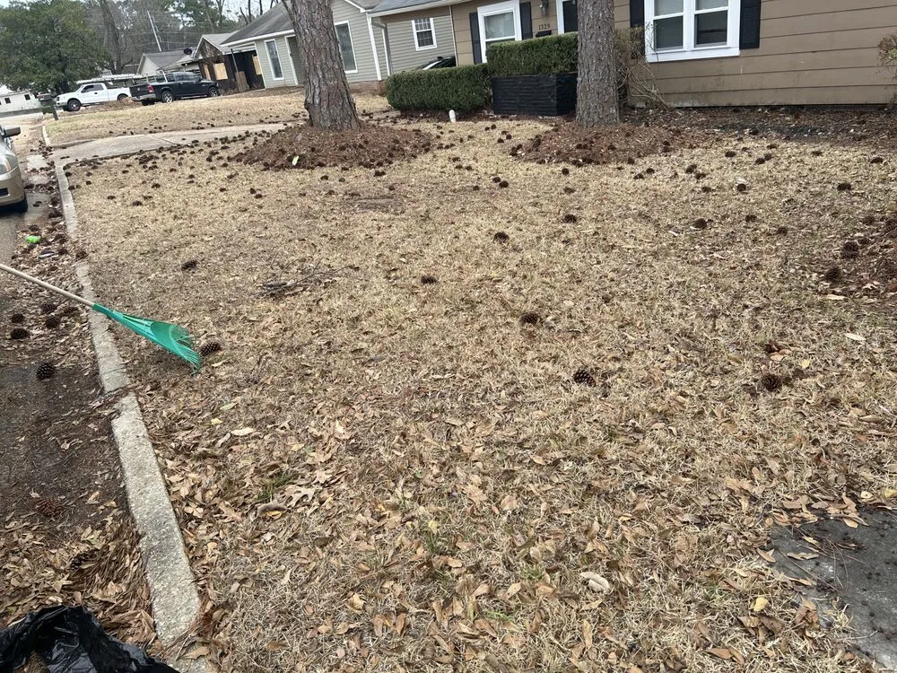 Top-rated lawn care service in Jackson, MS - Chris White