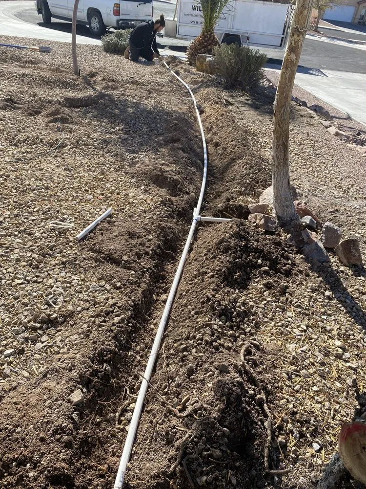 Local landscape design experts serving Bullhead City, AZ - Chris Wilson