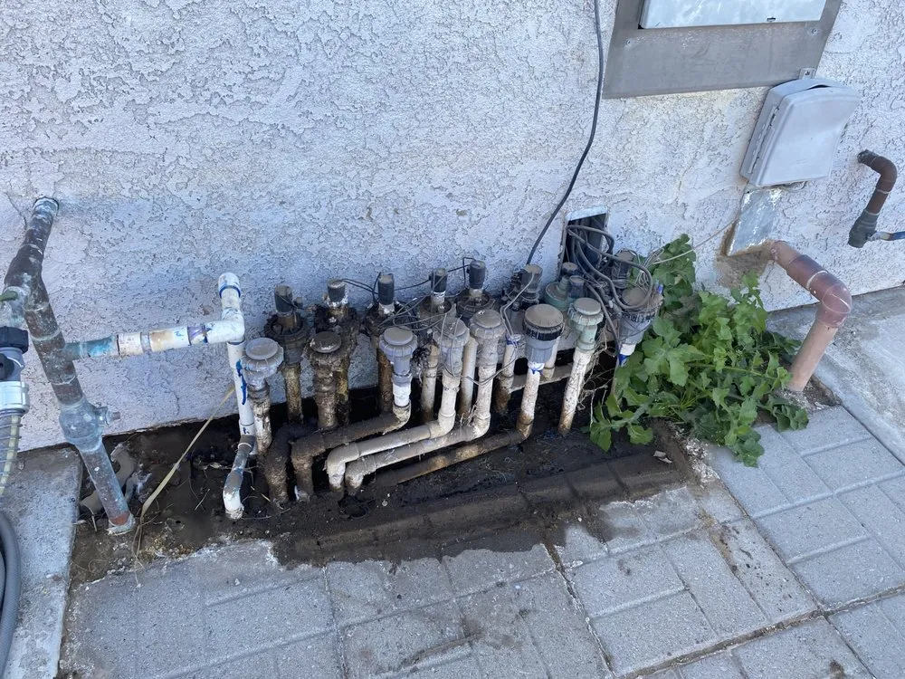 Professional outdoor landscaping in Bullhead City, AZ - Chris Wilson