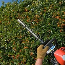 Affordable garden landscaping for beautiful yards across Burleson, TX - Chris' Yard Care