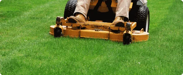 Custom landscaping services for year-round maintenance across Burleson, TX - Chris' Yard Care