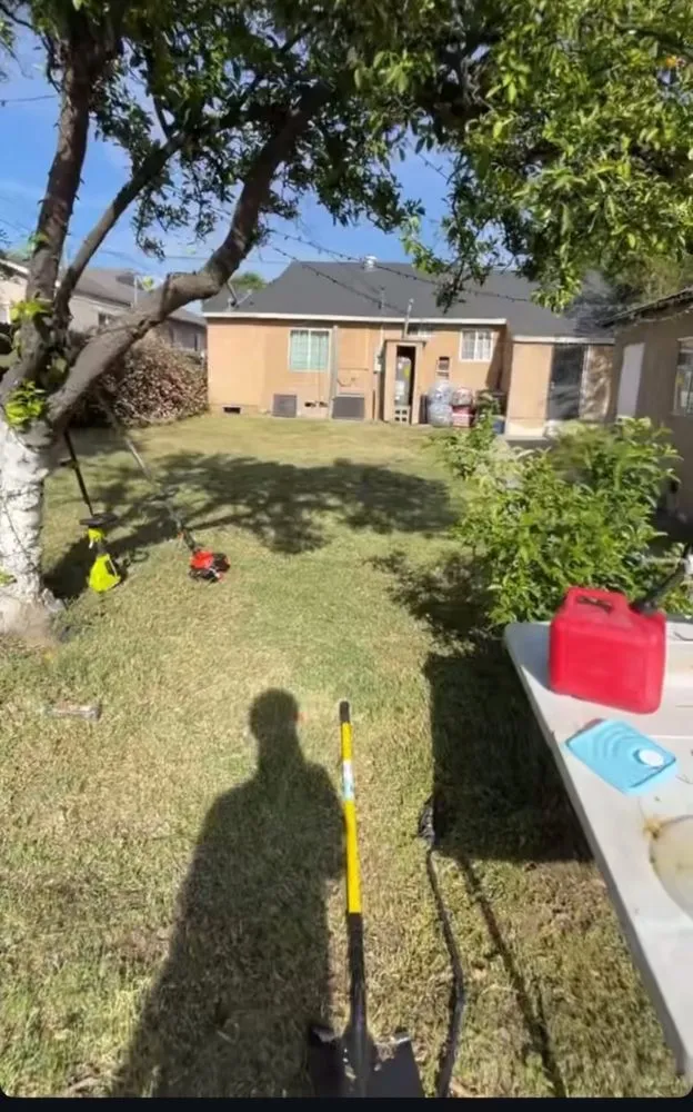 Reliable yard cleanup service in Fontana, CA - Chris Yardwork