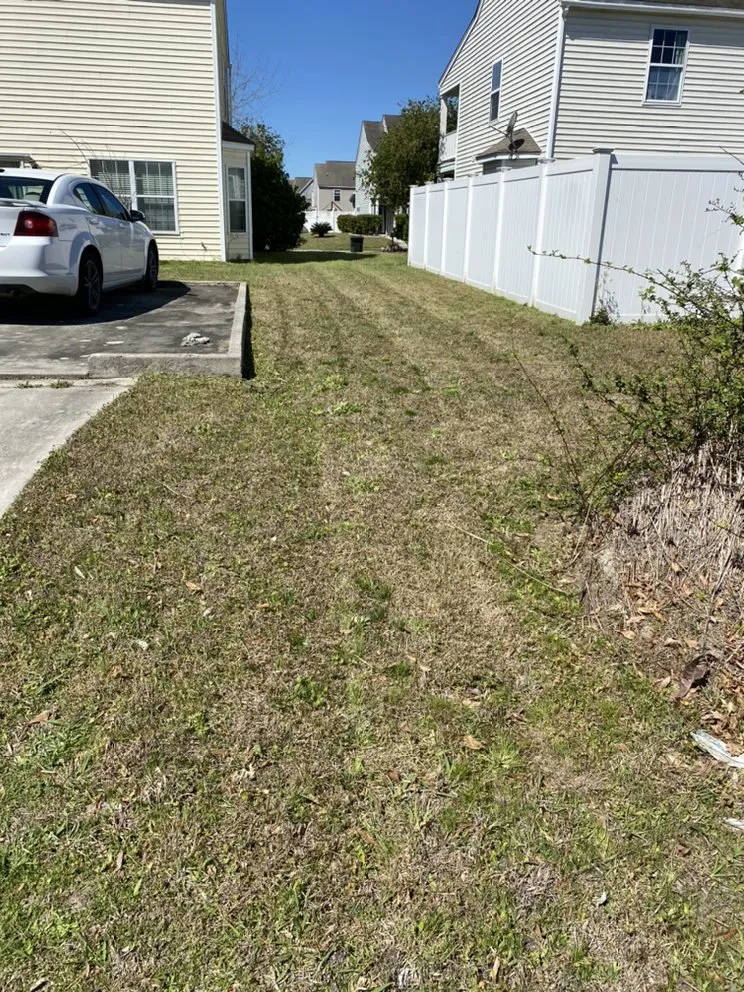 Expert landscaping services for year-round maintenance in Rincon, GA by Chrispy Cutz Lawn Care