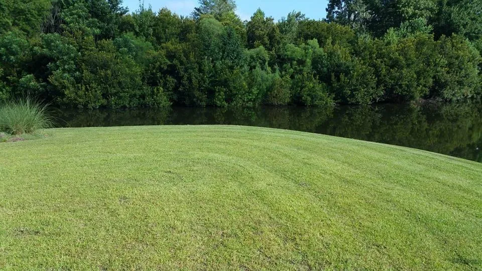 Reliable outdoor landscaping near you across Rincon, GA - Chrispy Cutz Lawn Care