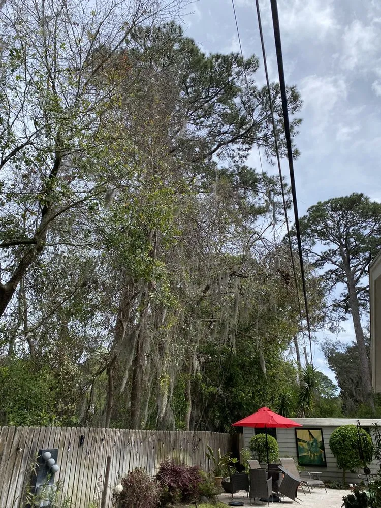 Affordable landscaping services experts serving Rincon, GA - Chrispy Cutz Lawn Care