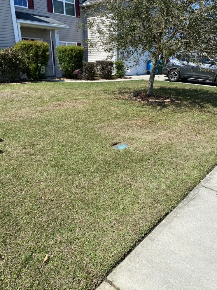 Local yard cleanup service for year-round maintenance in Rincon, GA by Chrispy Cutz Lawn Care