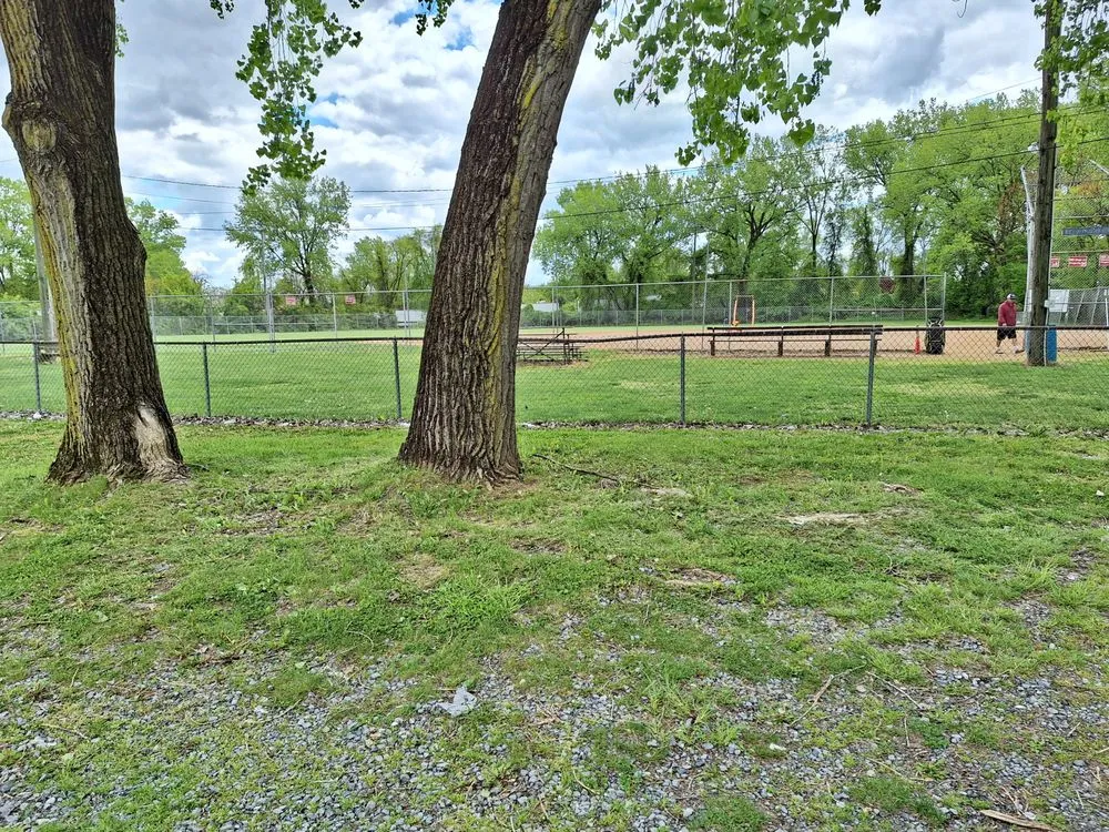 Trusted yard cleanup service experts serving Lebanon, PA - Chriss Clean Up