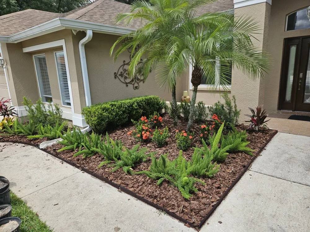 Expert lawn care service in Seffner, FL - Chris's Dreams United Landscaping