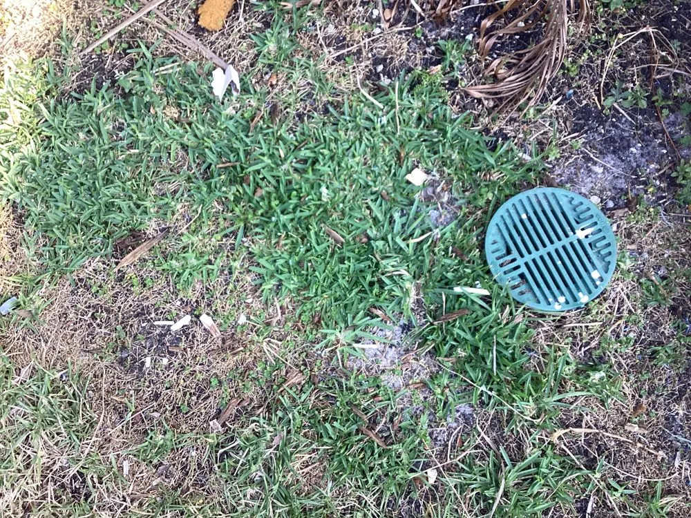 Reliable lawn care service in Stuart, FL by Chris's Handyman Services