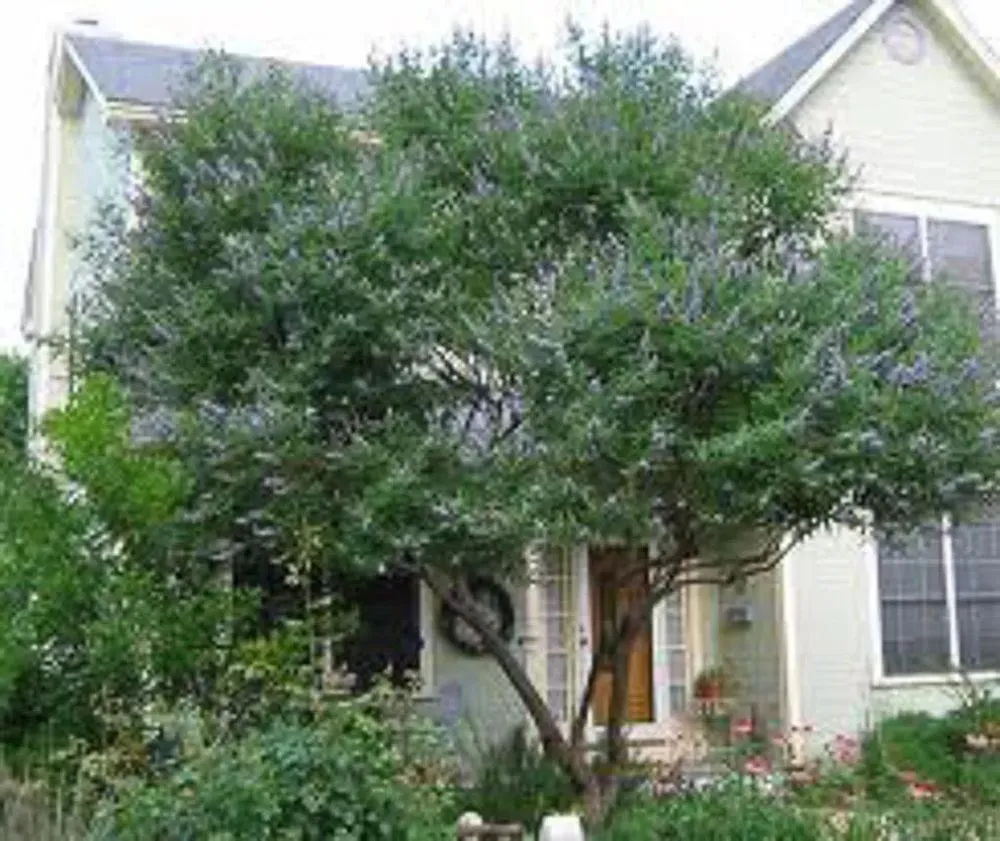 Trusted garden landscaping near you across Sulphur Springs, TX - Chris's Landscape & Irrigation