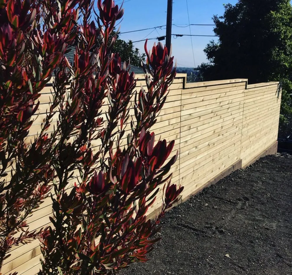 Reliable lawn care service experts serving Novato, CA - Chris’s Landscaping & Construction Services