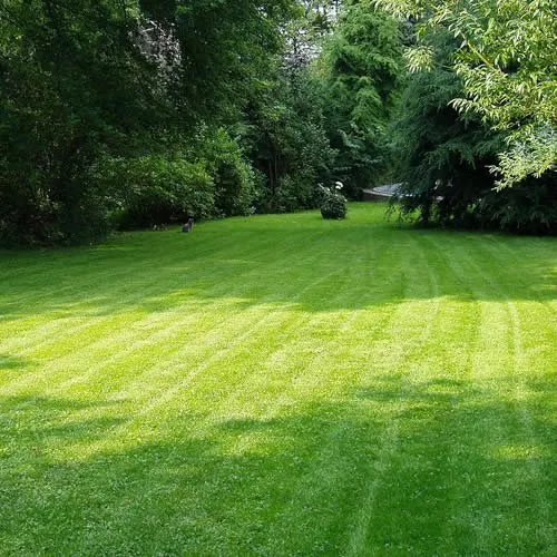 Local lawn mowing service for year-round maintenance across Novato, CA - Chris’s Landscaping & Construction Services