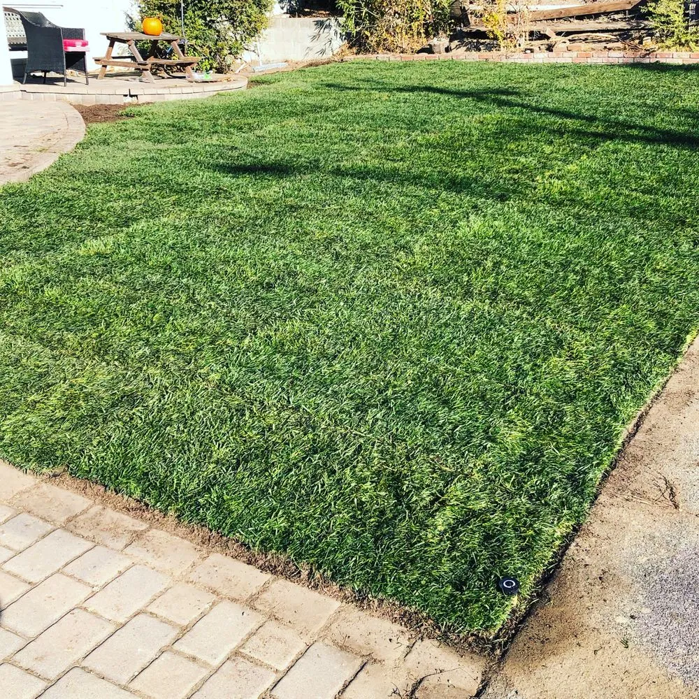 Top-rated landscape installation in Novato, CA - Chris’s Landscaping & Construction Services