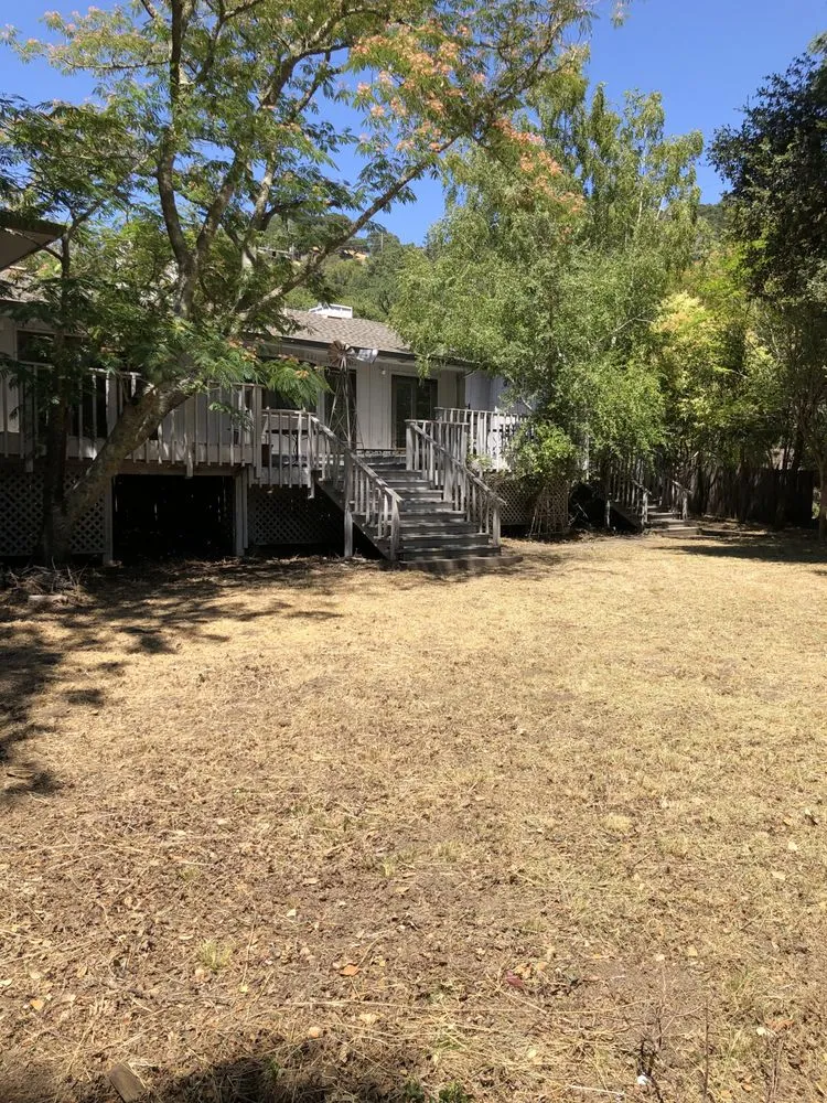 Trusted residential landscaping for year-round maintenance across Novato, CA - Chris’s Landscaping & Construction Services