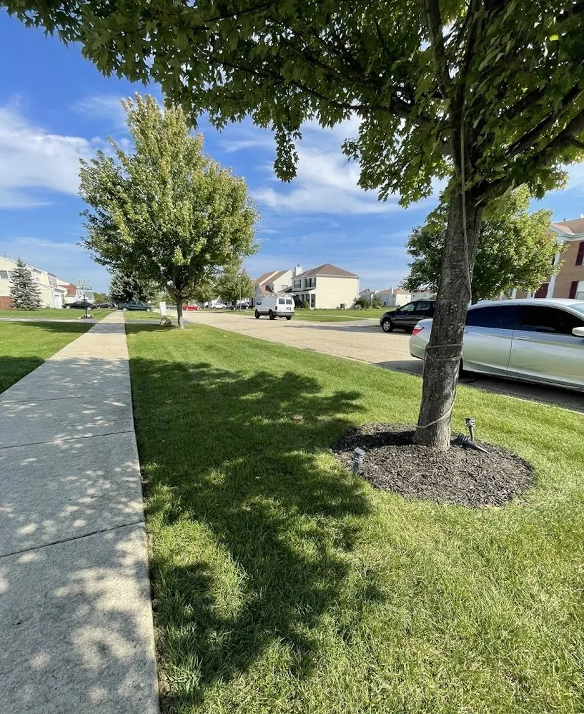 Trusted yard maintenance with custom design in Zion, IL by Chris's Landscaping