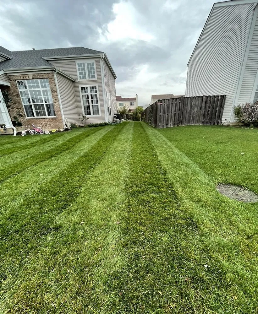 Professional yard cleanup service experts serving Zion, IL - Chris's Landscaping