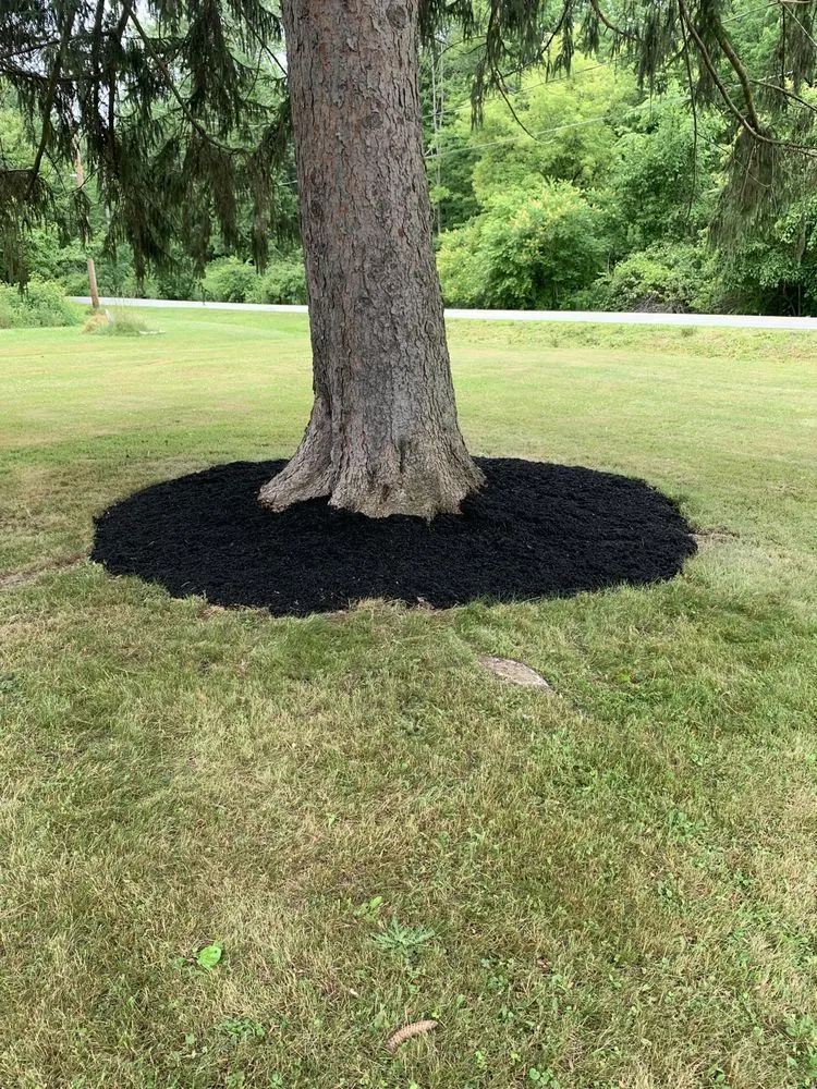 Top-rated lawn mowing service near you in Ashtabula, OH by Chris’s Lawn & Landscape