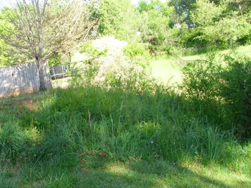 Affordable yard maintenance in Cedartown, GA - Chris's Lawn Care & Odd Jobs