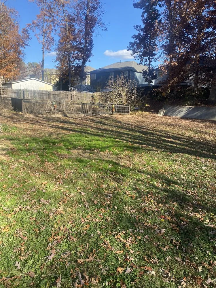 Reliable yard maintenance near you in Raleigh, NC by Chris’s Lawn Care and Pressure Washing