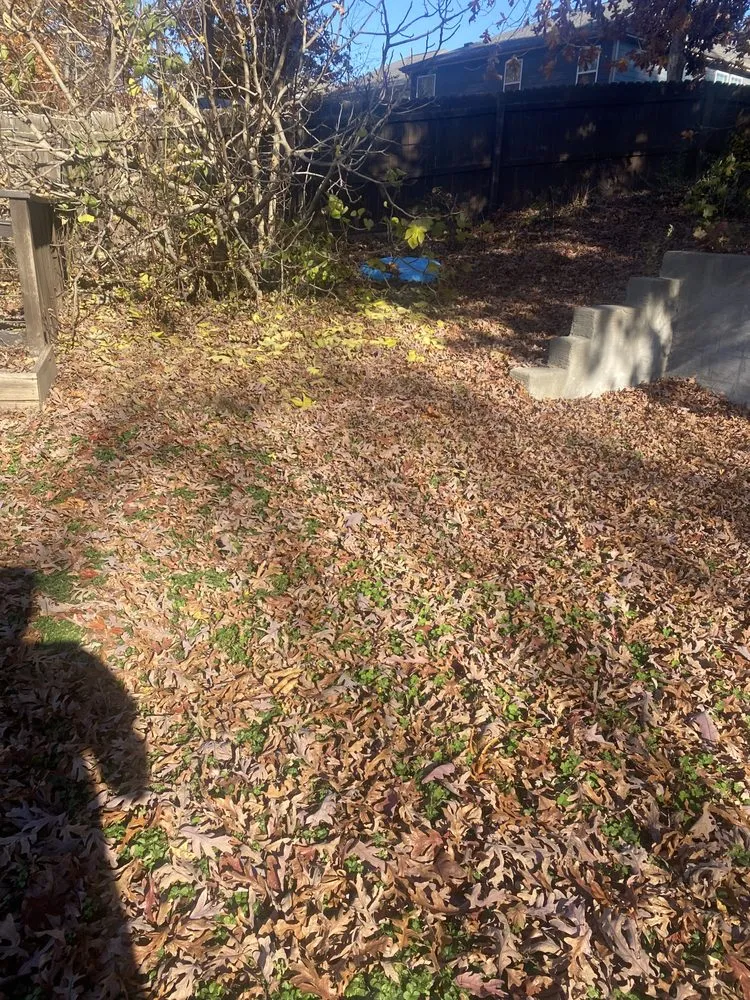 Professional lawn mowing service experts serving Raleigh, NC - Chris’s Lawn Care and Pressure Washing