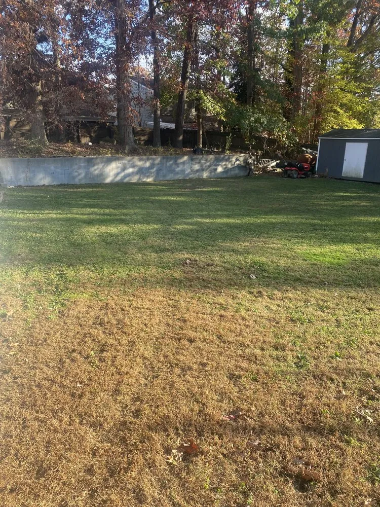 Professional landscape installation in Raleigh, NC - Chris’s Lawn Care and Pressure Washing