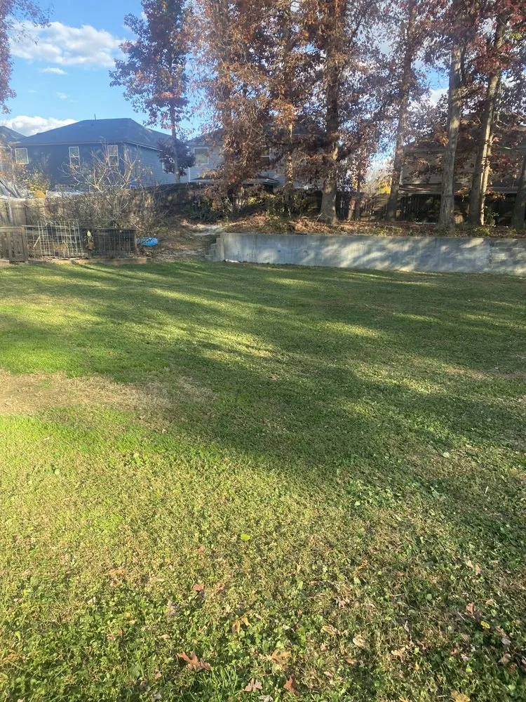 Top-rated landscape installation experts serving Raleigh, NC - Chris’s Lawn Care and Pressure Washing