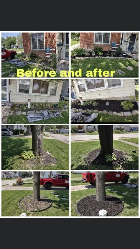 Expert yard cleanup service in Covington, KY by Chris’s Lawn Care