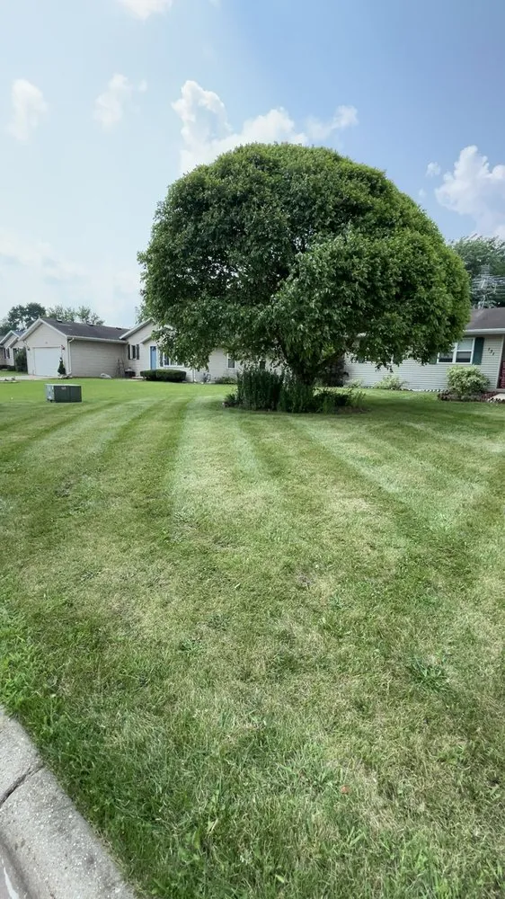 Affordable yard cleanup service experts serving Delavan, WI - Chris’s Lawn Care
