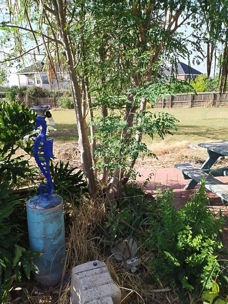 Local lawn mowing service with custom design across Mission, TX - Chris’s Lawn Care