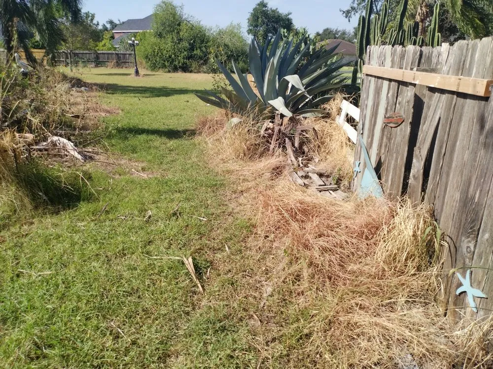 Expert lawn care service for homes in Mission, TX by Chris’s Lawn Care